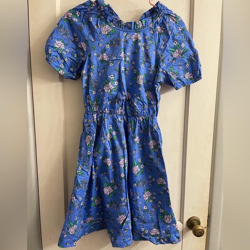 J Crew Factory Floral Mini Dress